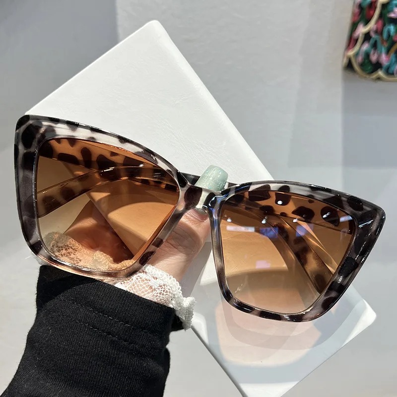 Trendy Cat Eye-zonnebril voor  - Sunglasses Cat Eye recensie en prijs